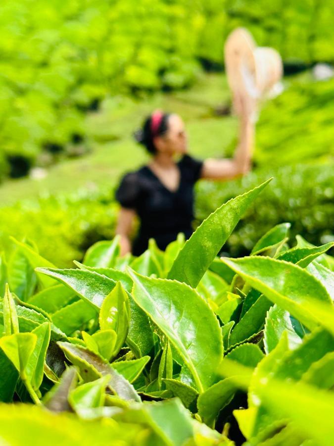 Green View Holiday Home ビサーリー エクステリア 写真
