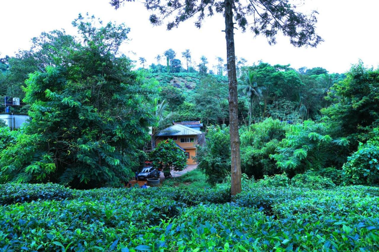Green View Holiday Home ビサーリー エクステリア 写真