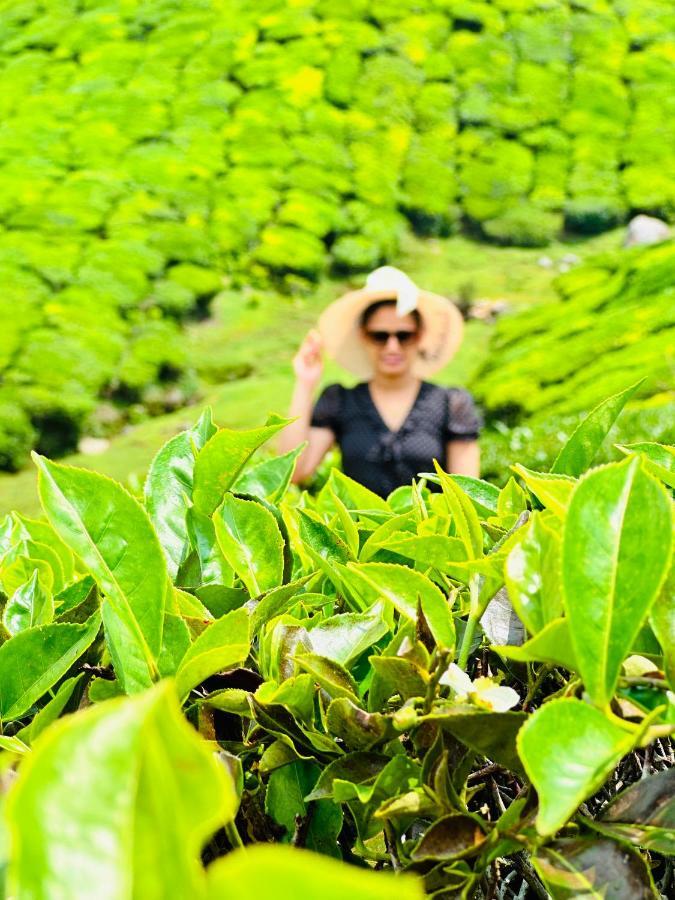 Green View Holiday Home ビサーリー エクステリア 写真